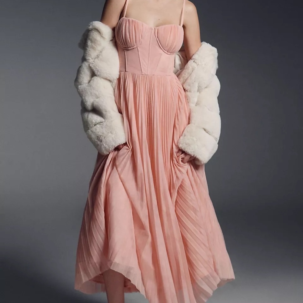 Anthropologie Hutch Amara pink corset pleated tulle fit & flare midi dress NWT 2